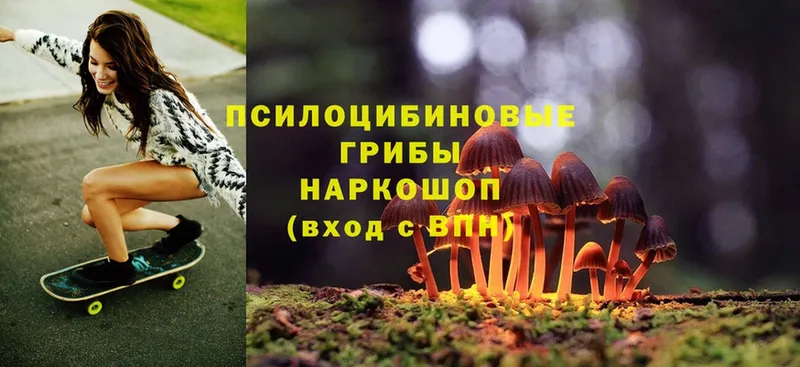 Галлюциногенные грибы MAGIC MUSHROOMS  Абинск 